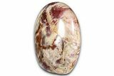 Freestanding, Polished Petrified Wood - Madagascar #384349-2